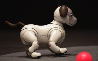 Картинка морда, темный, робот, мяч, механизм, игрушка, щенок, собака