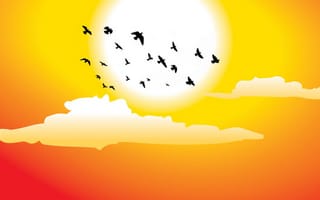 Обои векторная графика, облака, птицы, солнце