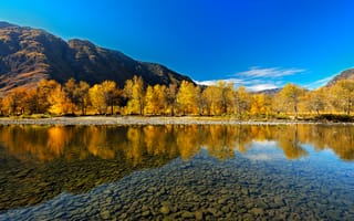Картинка осень, река, отражение, Горный Алтай
