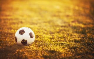 Картинка мяч, спорт, трава