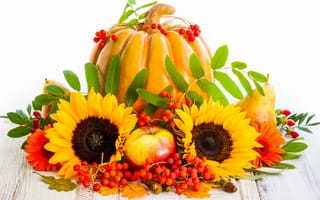 Картинка autumn, груши, листья, ягоды, подсолнухи, pumpkin, яблоки, урожай, тыква, sunflower, фрукты, осень, harvest