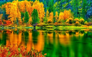 Картинка склон, отражение, деревья, озеро, лес, осень
