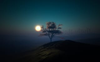 Обои минимализм, холм, ночь, свет, луна, дерево