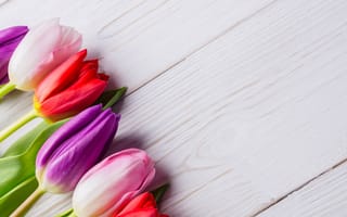 Картинка цветы, букет, wood, colorful, тюльпаны, flowers, white, red