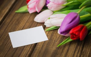 Картинка цветы, colorful, red, wood, white, flowers, тюльпаны, tulips