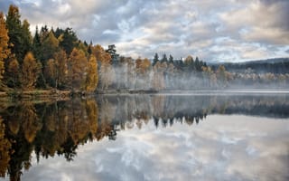 Картинка озеро, дымка, утро, лес, осень, деревья