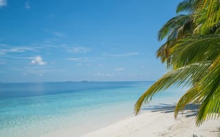Обои песок, море, seascape, пальмы, beach, beautiful, волны, summer, лето, sand, берег, paradise, небо, palms, пляж, sea