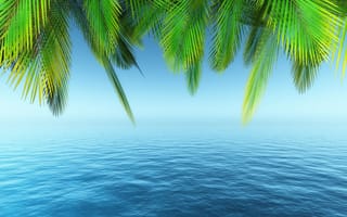 Картинка море, лето, небо, пляж, пальмы, sea, tropical, beach, summer, paradise, palms