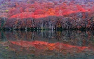 Картинка склон, осень, деревья, лес, отражение, багрянец, озеро