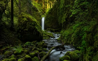Картинка лес, зелень, река, природа, водопад, камни