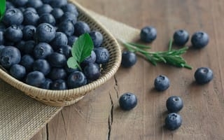 Картинка ягоды, черника, wood, blueberry, голубика, fresh, berries