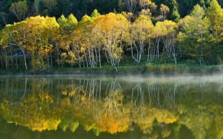 Картинка склон, деревья, осень, отражение, туман, озеро, вода