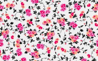 Картинка floral, pattern, рисунок, цветочный, colorful, орнамент, pink, flowers