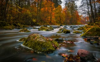 Обои Nukari, камни, Finland, осень, лес, Финляндия, река