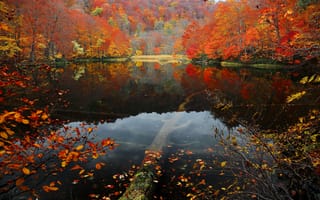 Картинка склон, вода, лес, осень, листья, багрянец, озеро, деревья