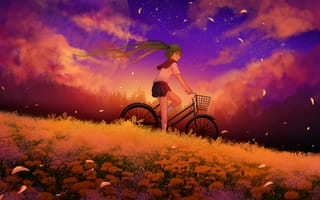 Обои арт, аниме, лепестки, vocaloid, луна, облака, цветы, велосипед, небо, девушка, hatsune miku, закат
