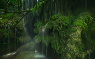 Картинка Франция, водопад, мох