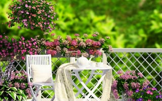 Картинка природа, coffee, сад, garden, veranda, веранда, nature, чай, flowers, трава, кофе, цветы, tea, grass