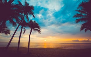 Обои песок, лето, море, небо, sand, beautiful, beach, paradise, seascape, берег, закат, sunset, пальмы, summer, sea, пляж