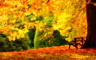 Картинка leaves, деревья, осень, прогулка, forest, road, walk, листья, трава, bench, скамейка, nature, autumn, hdr, park, grass, colors, природа, trees, парк