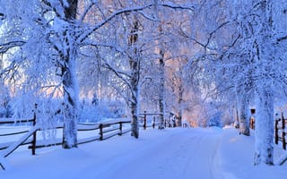 Обои path, trees, road, forest, пейзаж, winter, небо, snow, зима, природа, деревья, дорога, cool, nice, nature, лес, снег, sunset, white, sky, beautiful