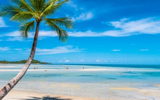 Обои песок, небо, море, берег, beach, пальмы, seascape, sand, пляж, солнце, лето, palms, beautiful, summer, paradise, sea