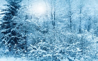 Картинка winter, snow, снег, природа, зима, tree, nature, деревья