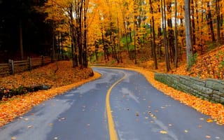 Картинка road, colorful, path, парк, природа, colors, осень, autumn, дорога, walk, leaves, park, forest, fall, лес, trees, деревья, листья, nature