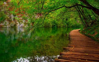 Обои nature, вода, colorful, river, leaves, природа, лес, colors, park, spring, парк, walk, река, trees, fall, деревья, листья, горы, forest, water