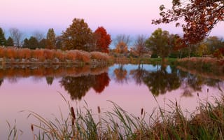 Картинка небо, пруд, осень, деревья, трава
