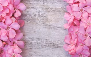 Картинка цветы, pink, wood, розовые, flowers, tender