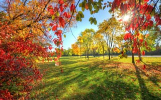 Картинка парк, небо, осень, аллея, листья, деревья