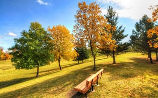Картинка небо, парк, скамья, осень, деревья, трава