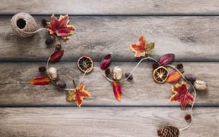 Картинка осень, дерево, wood, maple, осенние, autumn, орехи, colorful, leaves, листья, шишки