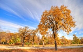 Картинка небо, осень, парк, дорожка, деревья, трава