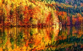 Картинка склон, озеро, деревья, осень, домик, лес