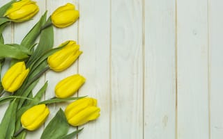 Обои цветы, букет, tulips, tender, beautiful, flowers, тюльпаны, wood, yellow, желтые, spring, fresh