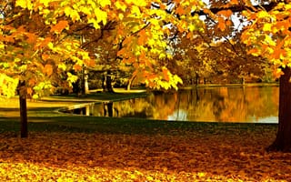 Картинка nature, autumn, парк, fall, trees, листья, colors, walk, река, деревья, forest, лес, небо, colorful, water, осень, sky, природа, горы, leaves, river, вода, park
