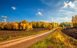 Картинка осень, дорога, лес, деревья, поля, желтые