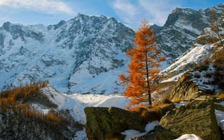 Картинка небо, горы, снег, дерево, осень, камни, скалы