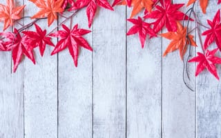 Картинка осень, дерево, leaves, autumn, клен, листья, maple, red, wood
