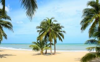 Обои песок, небо, beach, sea, paradise, солнце, palms, лето, пальмы, summer, beautiful, пляж, берег, seascape, море, sand