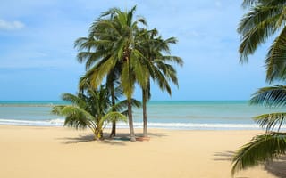 Картинка песок, море, лето, sand, beach, sea, seascape, пляж, пальмы, солнце, palms, берег, summer, beautiful, paradise, небо
