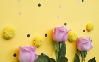 Картинка розы, розовые, бутоны, roses, flowers, pink