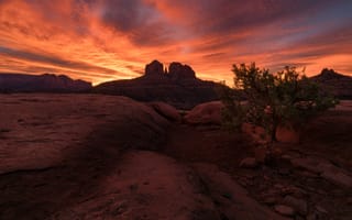 Картинка облака, деревья, камни, скалы, пейзаж, пустыня, горы, закат