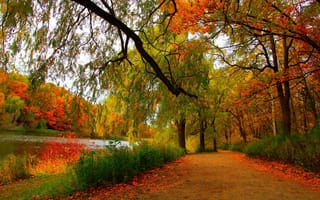 Картинка Природа, autumn, nature, лес, пейзаж, landscape, scenery, осен, trees, forest, view, river, деревья