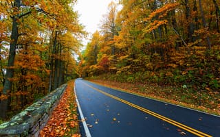 Картинка nature, осень, листья, trees, colorful, road, colors, природа, mountain, leaves, гора, walk, path, дорога, fall, autumn