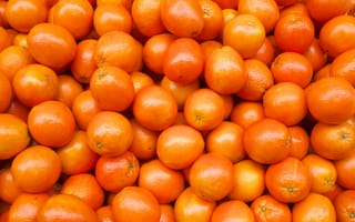 Обои апельсины, фрукты, fresh, orange, fruits