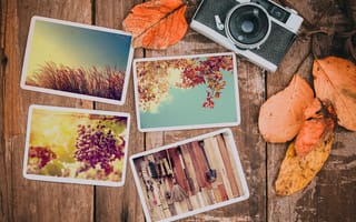 Картинка осень, осенние, colorful, листья, autumn, wood, камера, leaves, happy