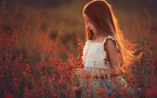 Картинка поле, Девочка, цветы